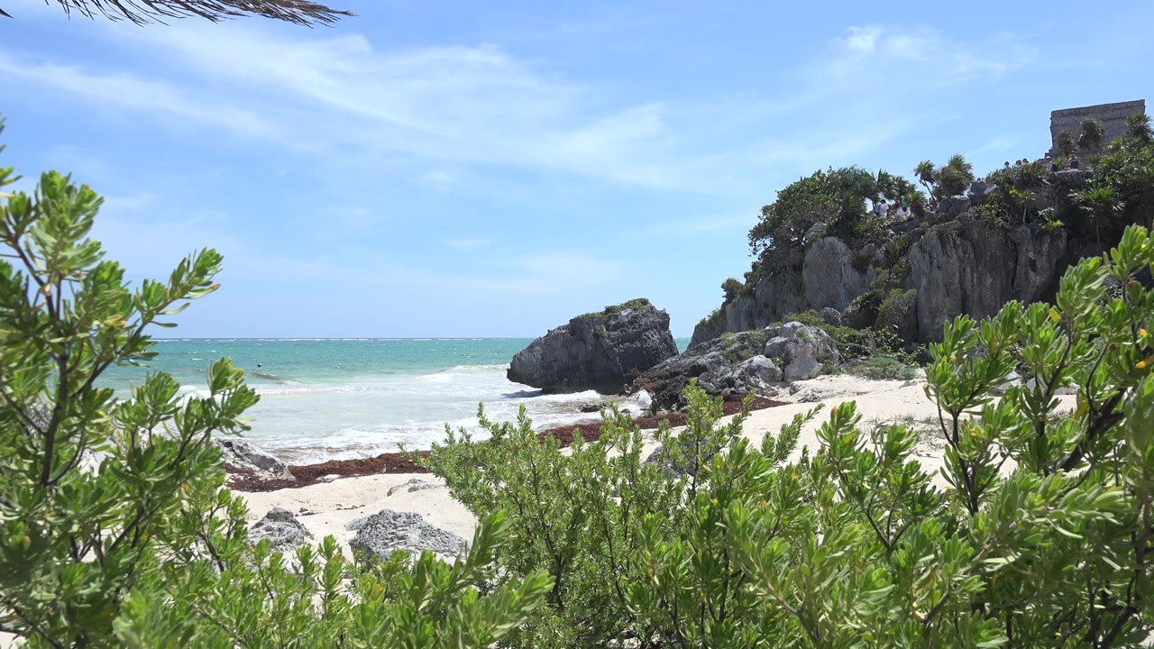 Rocky beach and ocean seen through dense green coastal vegetation.
