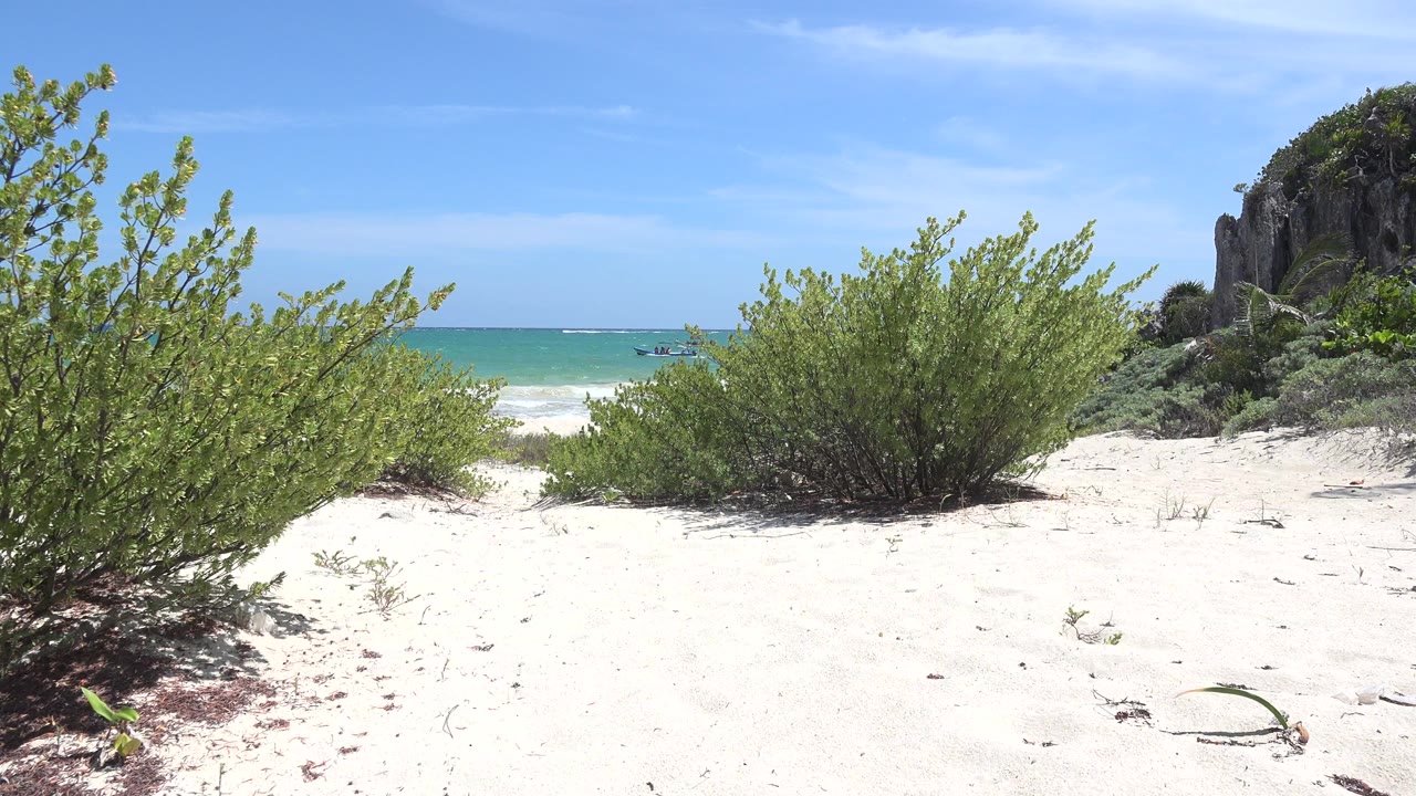 Opening frame of Tulum, Mexico beach vegetation on white sand with blue water behind it, a rocky green outcrop at right, and no visible people.