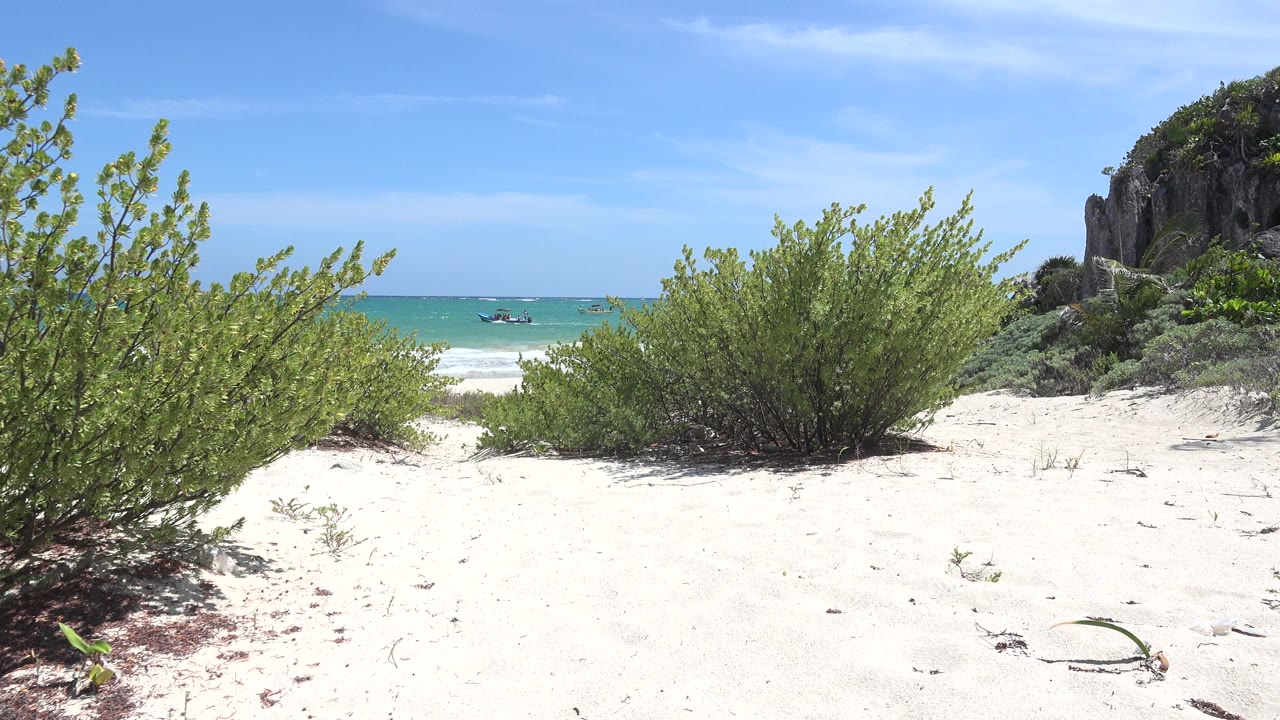Tulum, Mexico shoreline frame with low shrubs spreading over white sand, small ocean waves in the background, the rock face set at the right edge, and no visible people.