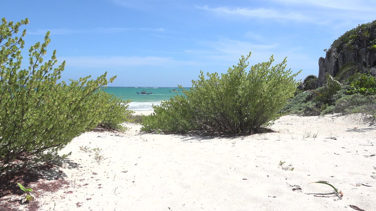 Bright beach foreground with bushes, blue water, and rocky vegetation