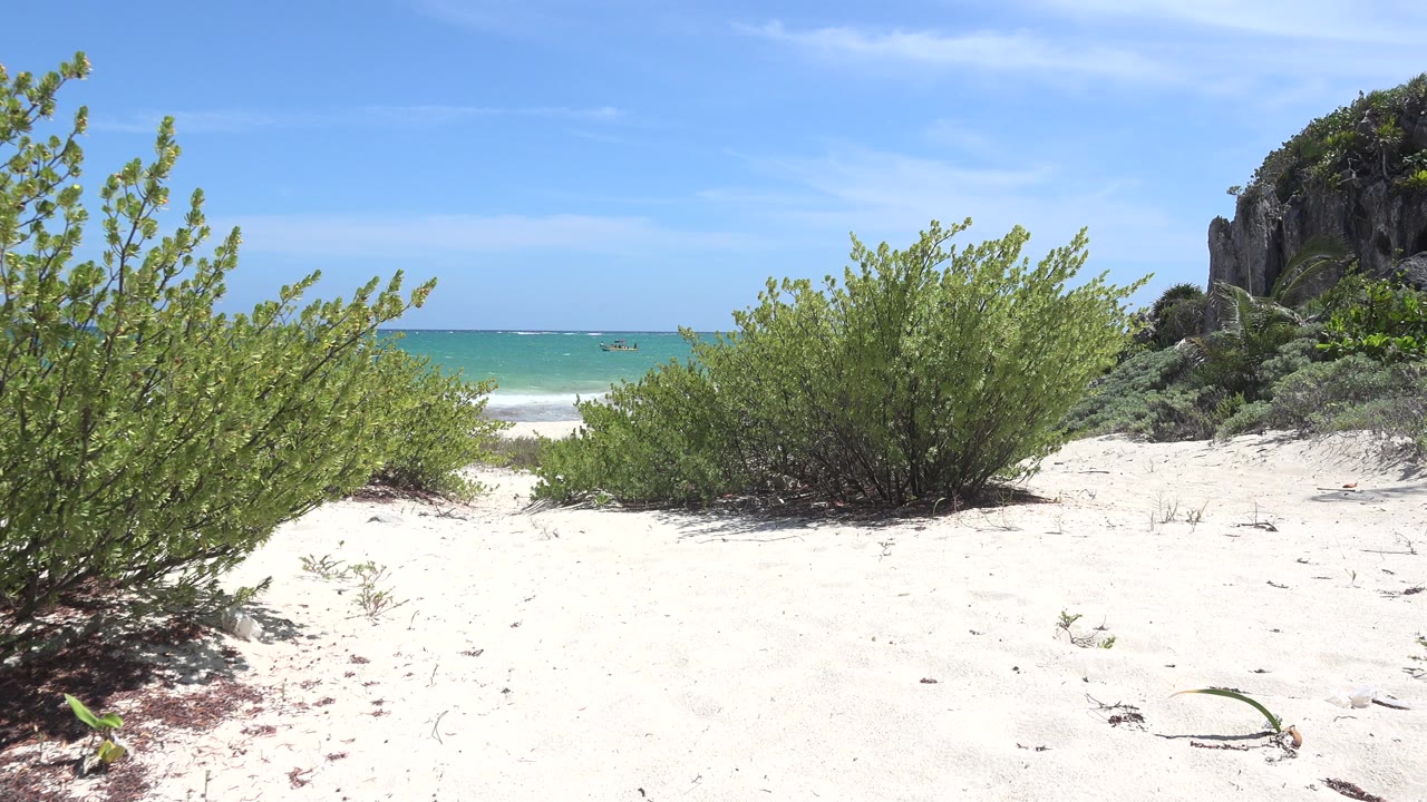 At 0:00 in Tulum, Mexico, green beach vegetation fills the foreground on bright white sand, with turquoise water and a rocky vegetated rise at right, no visible people.