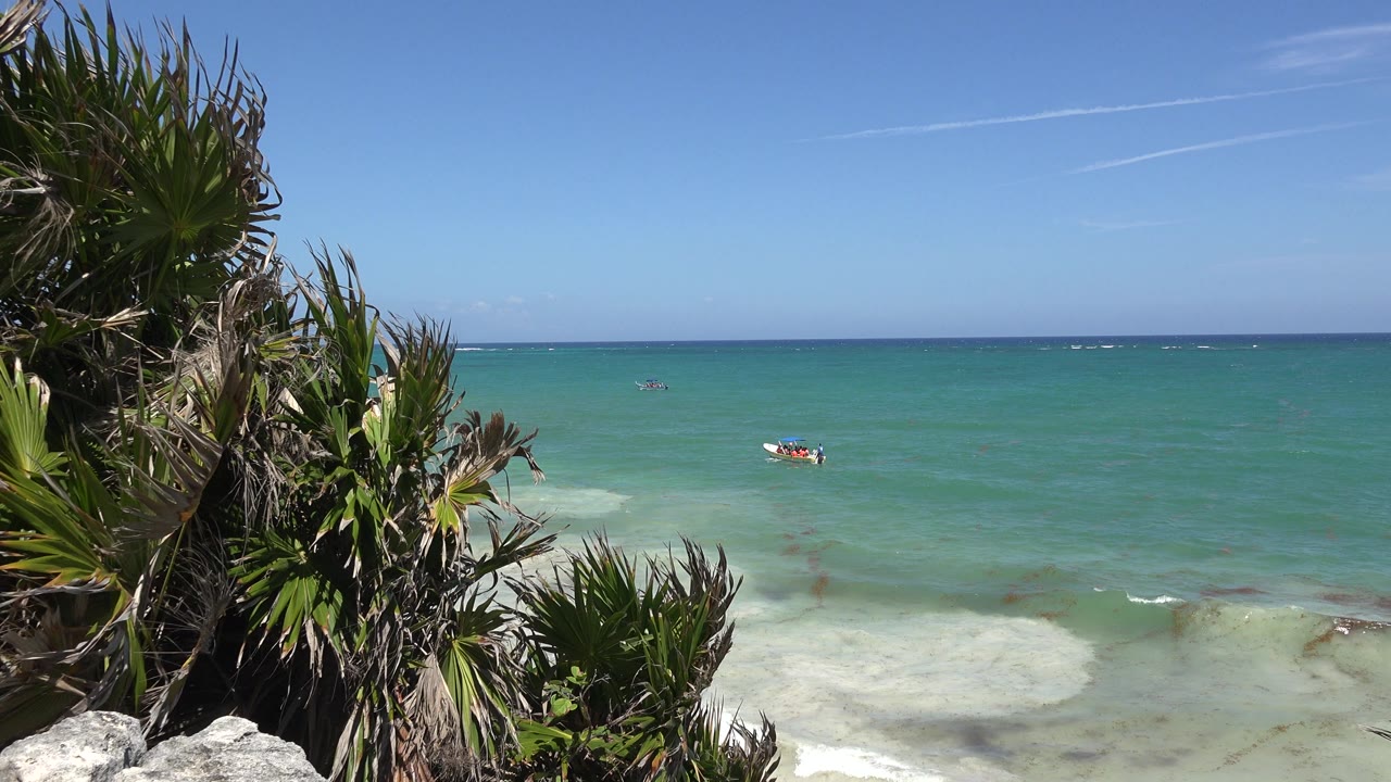 Turquoise ocean with coastal plants and a small kayak offshore.