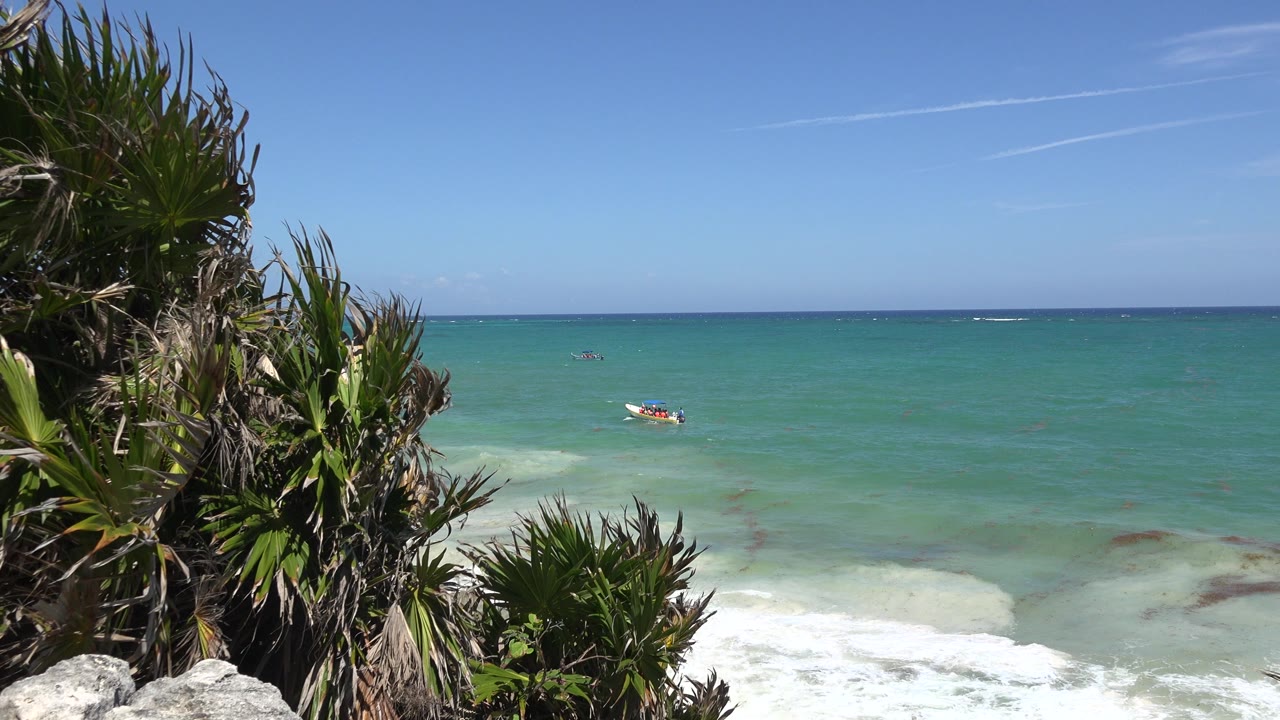 Tulum, Mexico coastline with spiky green plants and pale rocks in the left foreground, turquoise water beyond, white surf below, and no visible people.