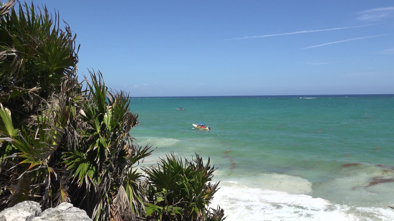 Tulum, Mexico ocean view with leafy foreground plants on the left, a small offshore object near the water, low white surf, and no visible people.