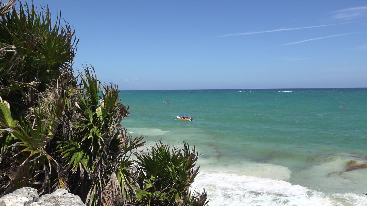 Ocean horizon with foreground plants, surf, and a small object offshore.