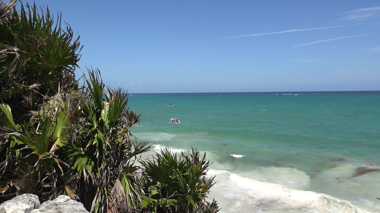 Tulum, Mexico shoreline view with palms and pale rocks at left, turquoise water below, a blue horizon, thin clouds, and no visible people.