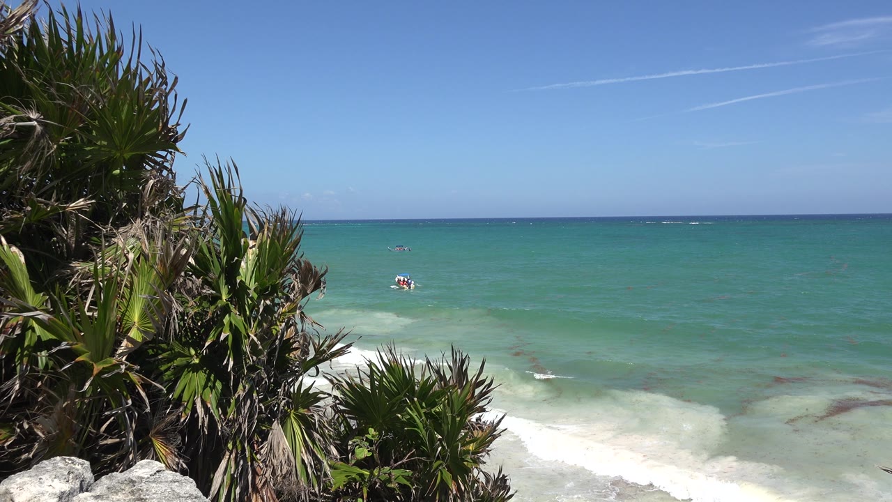 Palm-covered shoreline looking out to turquoise ocean