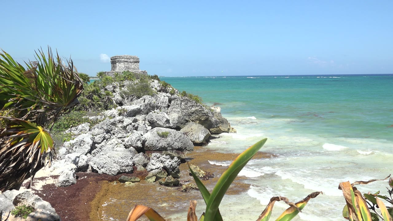 At 0:00, a rocky Tulum, Mexico shoreline fills the frame with spiky green leaves at left, turquoise ocean behind the rocks, a small stone structure on the rise, and no visible people.