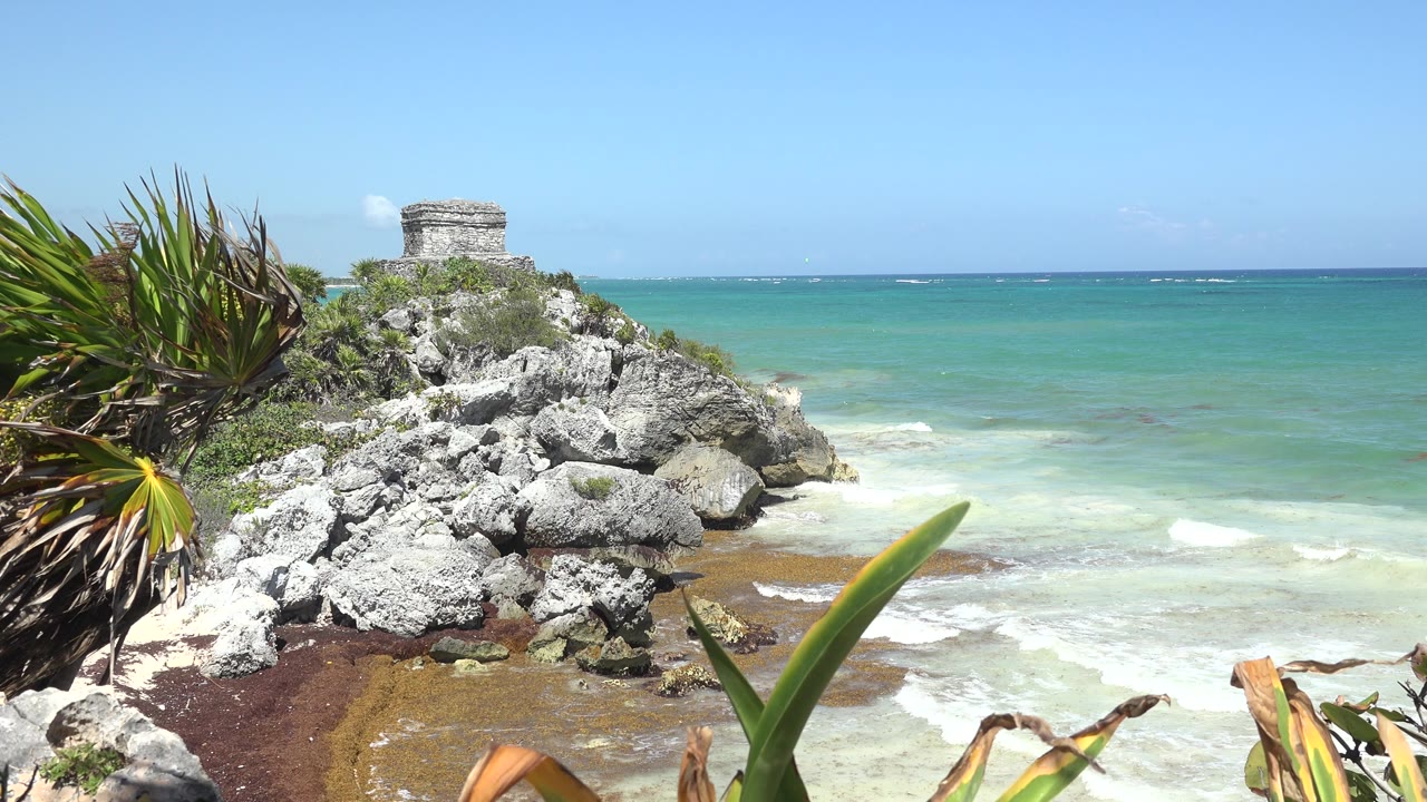 At 0:01, the Tulum, Mexico coastline remains framed by sharp green leaves, with pale rocks in the foreground, white waves reaching the shore, the stone structure near the top left, and no visible people.