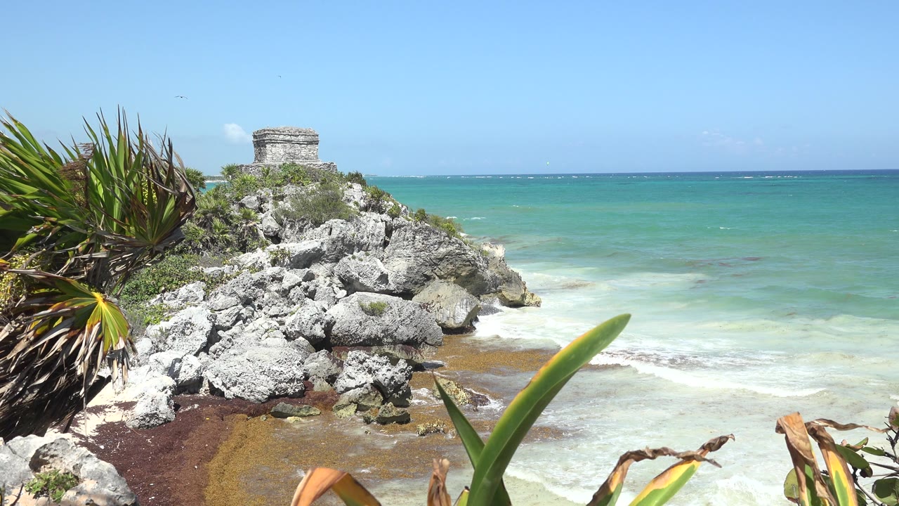 Opening frame of a stone structure on rocky shoreline in Tulum, Mexico, with spiky plants in the foreground, pale surf below, blue sky above, and no visible people.