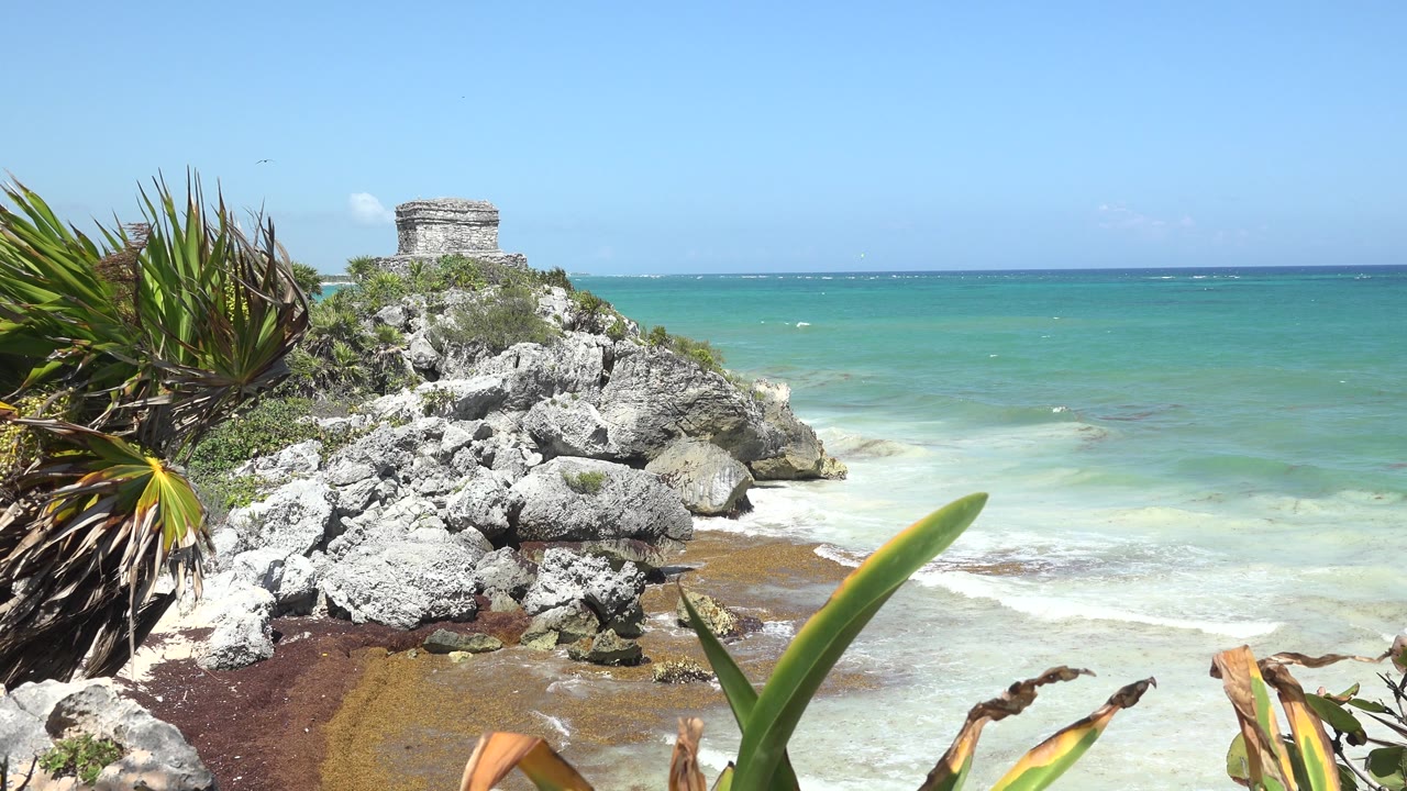 Coastal plants, rocks, and sea around stone structure