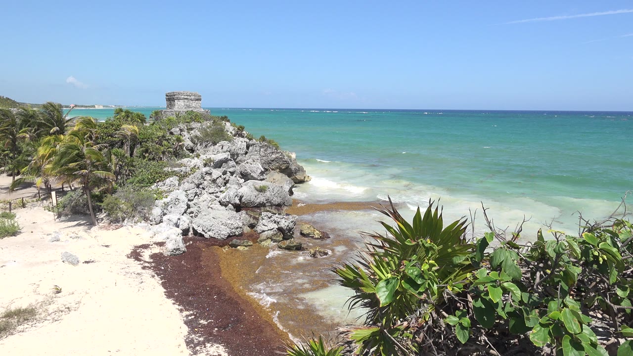 Opening frame of a Tulum, Mexico shoreline with pale sand, brown seaweed, gray rocks, green plants, palms, turquoise water, a small stone structure, and no visible people.