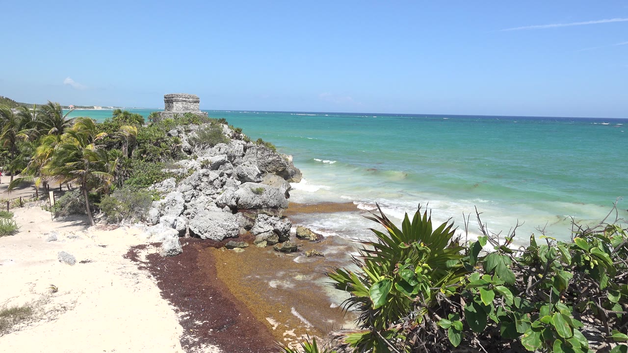 Tulum, Mexico shoreline with pale sand, gray rocks, green plants in the foreground, turquoise water, small surf, and no visible people at the opening moment.