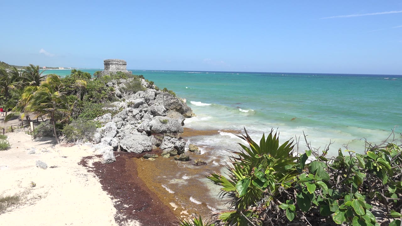 Tulum coast with rocks, palms, surf, and open sea