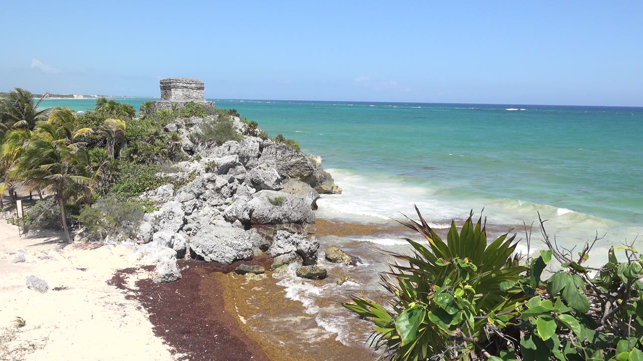 Opening frame of the Tulum, Mexico shoreline showing a sandy beach, gray rocks, palm trees, turquoise sea, and no visible people.