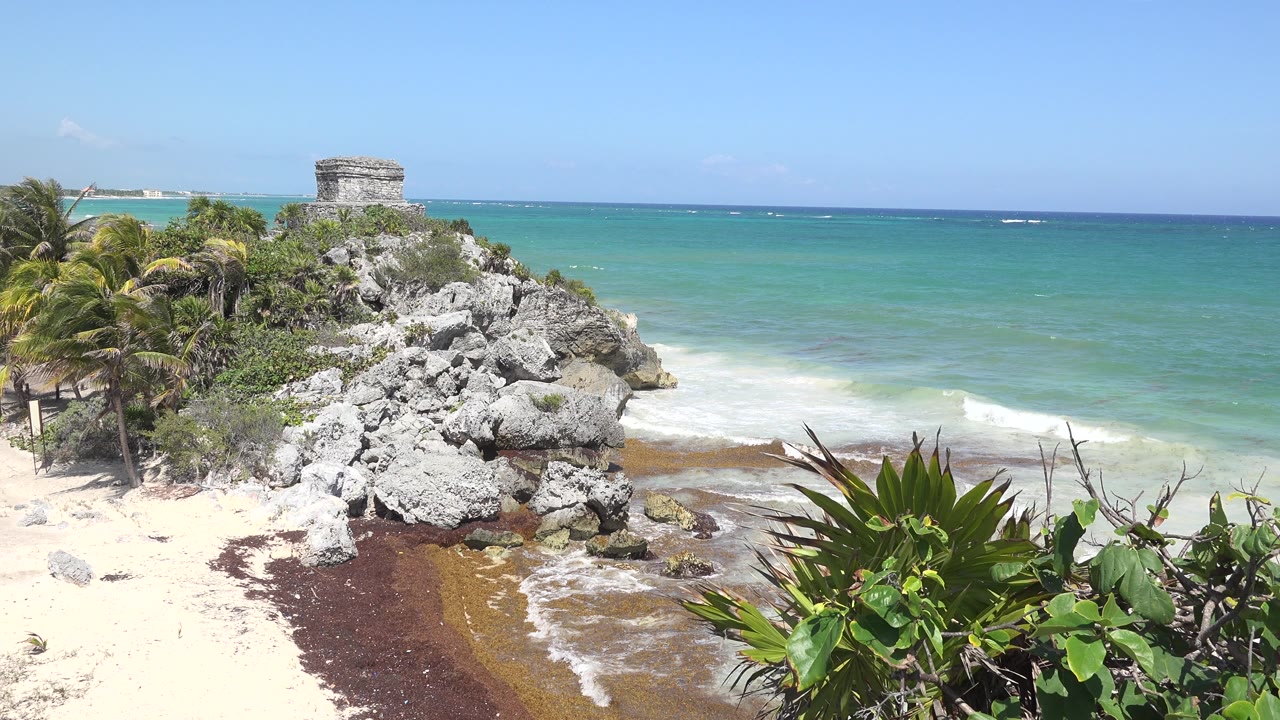 Sunny beach and rocky point with green foreground plants