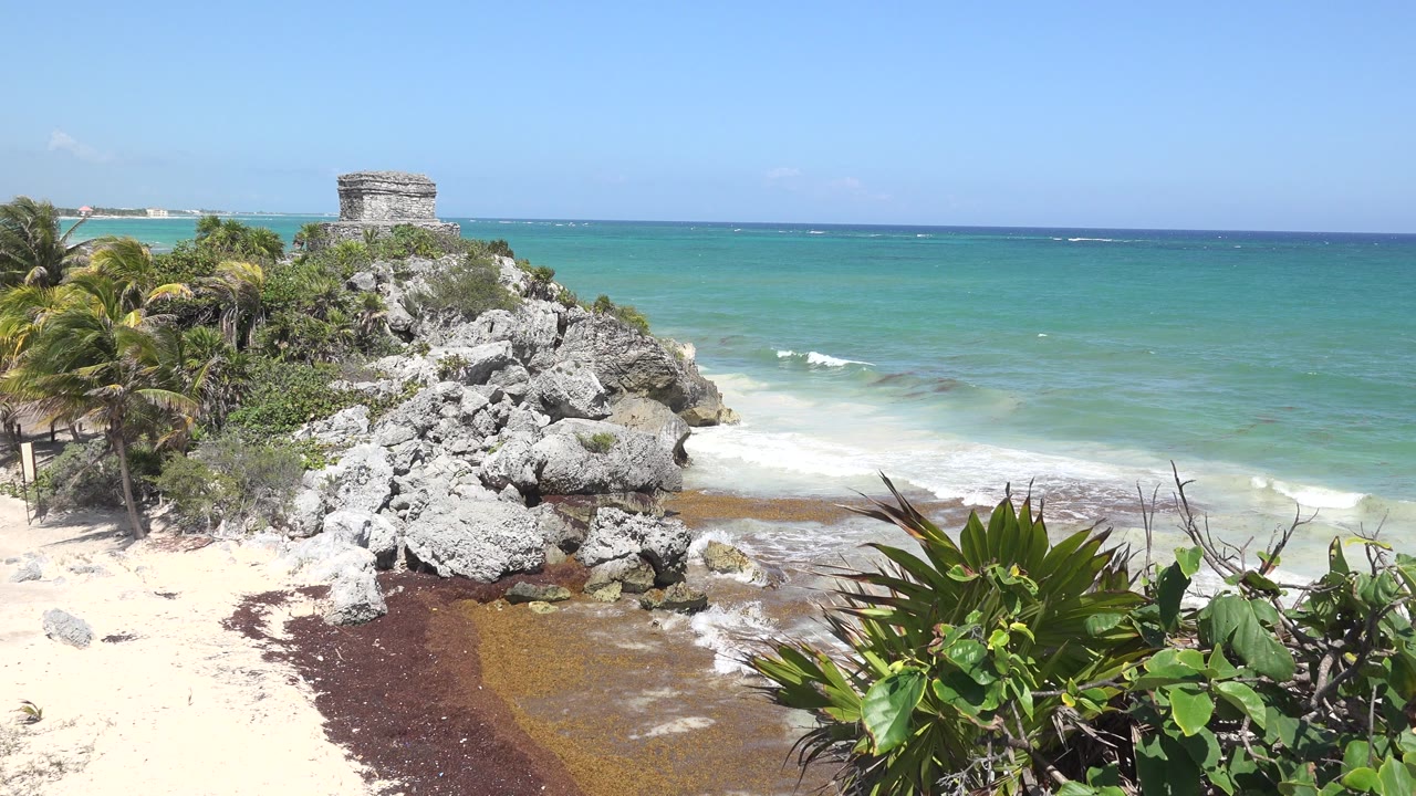 Opening frame of a Tulum, Mexico rocky beach mound with palms at left, leafy plants in the foreground, turquoise ocean beyond, and no visible people.