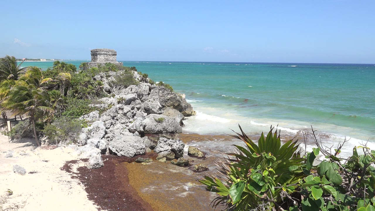 Opening view of the Tulum, Mexico coast with turquoise water, pale rocks, palms, tan sand, dark seaweed, a small stone structure on the bluff, and no visible people.