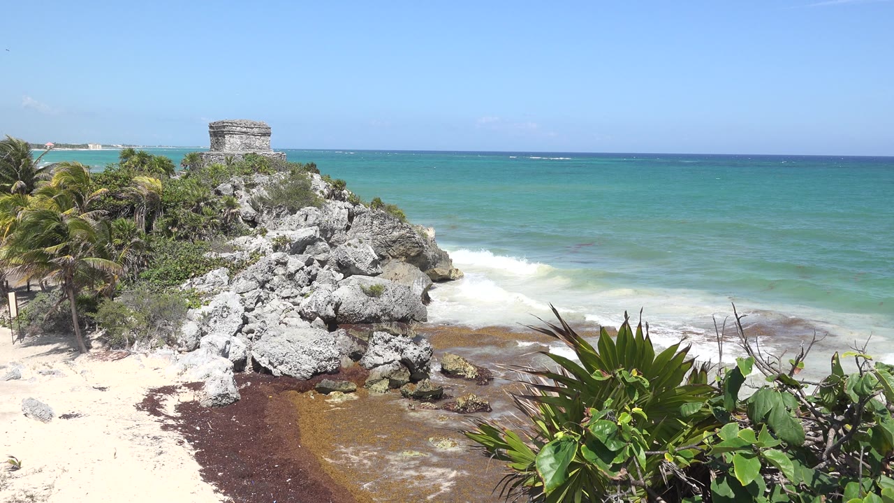 Beach rocks, palm trees, and ocean under bright sun.
