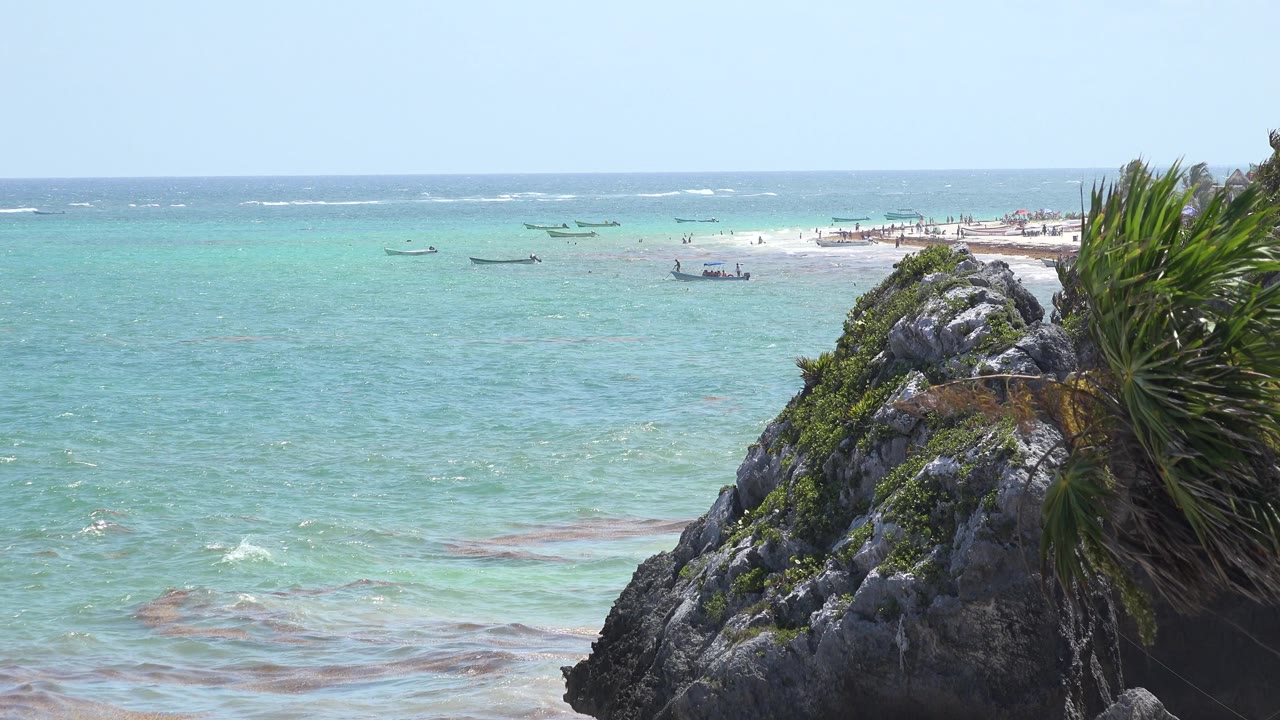 Coastal rock with plants beside bright shallow sea and boats.