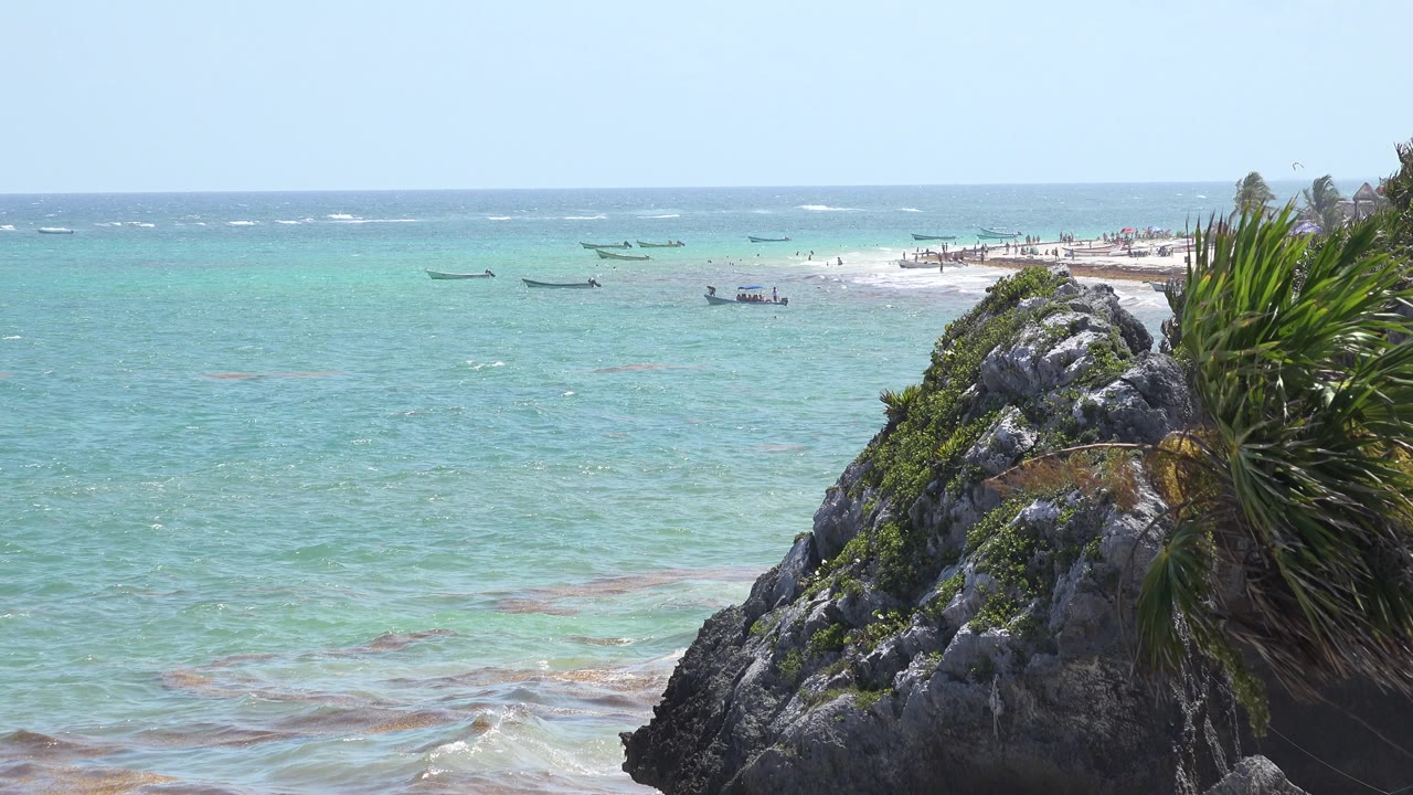 Coastal rocks and palm-like plants above turquoise water with boats offshore