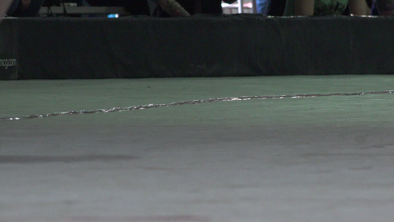 Pale indoor skating surface with dark padded boards behind it.