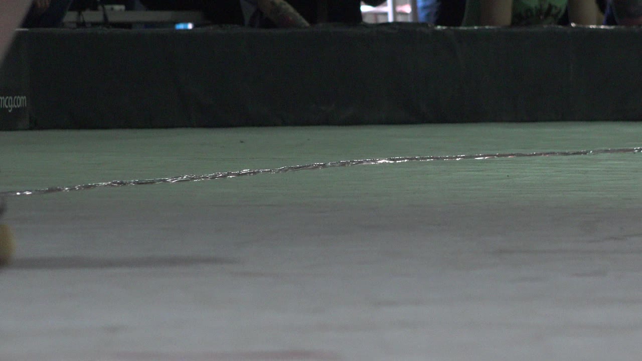 A low Denver indoor frame holds on the pale surface, with scuffs in the foreground, a narrow wet-looking line through the midground, and dark padded boards behind it.