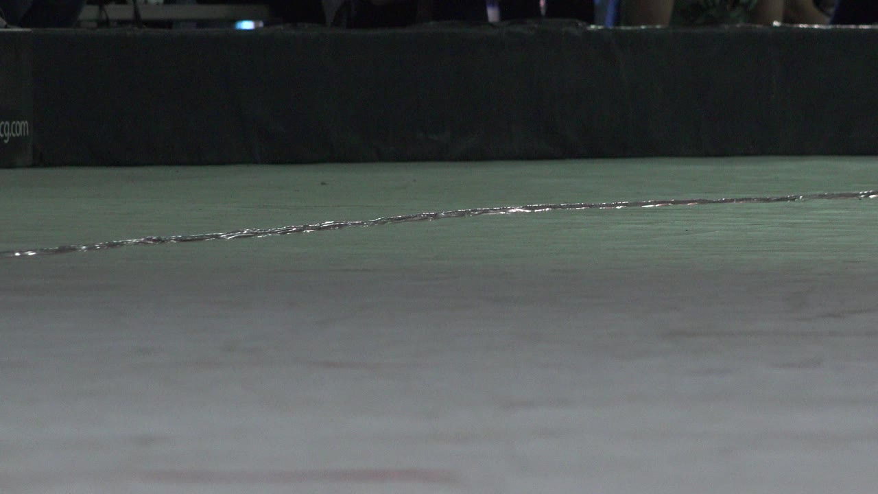 Reflective line across a muted green and gray ground surface.