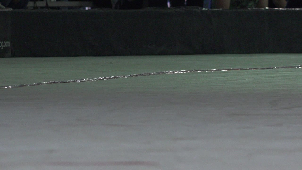 Low floor-level view inside a Denver roller rink, with an empty green-gray skating surface and dark padded barrier in the background, no visible people.