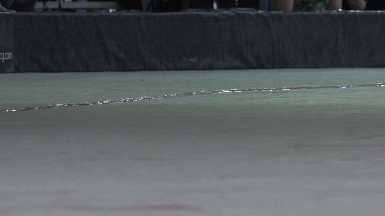 Denver roller rink floor seen from a low angle, with faint light streaks on the surface and no visible people in this moment.
