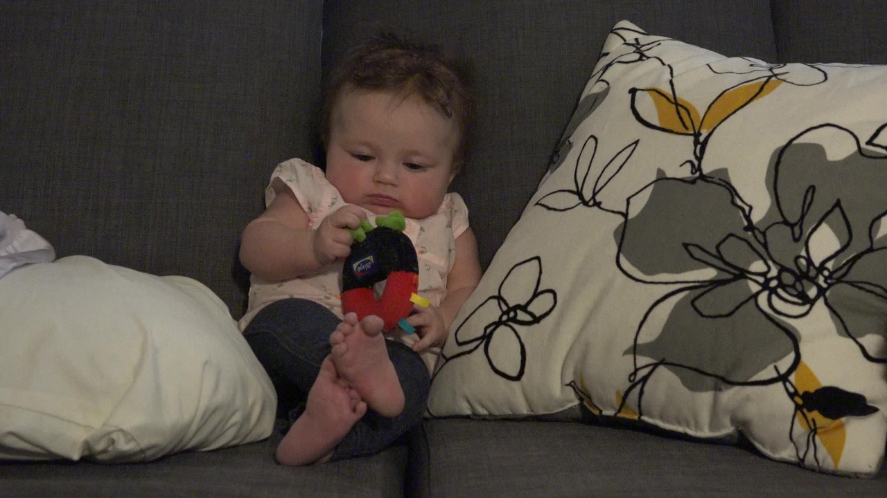 At 0:00 in Westminster, Colorado, a baby sits on a gray sofa with bare feet forward, holding a red and black toy between a plain white pillow and a floral line-pattern pillow.