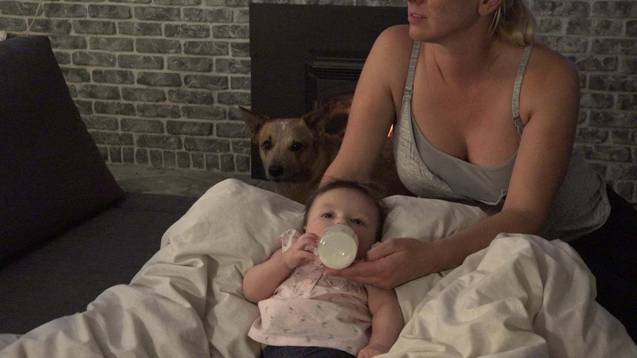 Baby drinking from a bottle beside an adult and a dog on a couch.
