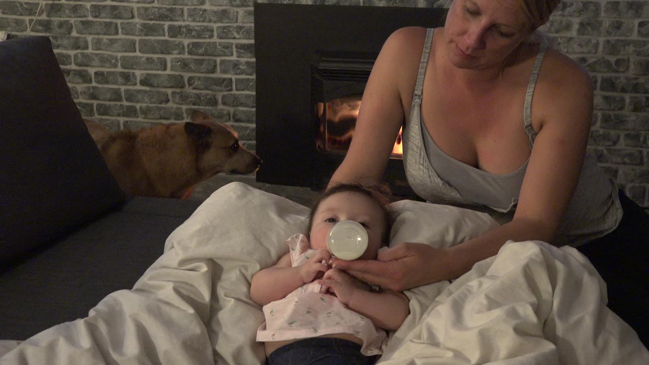 Adult feeding a baby on a couch while a small dog sits near a fireplace.