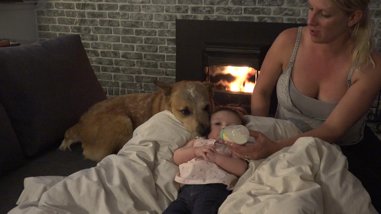 Baby lying in blankets while a woman holds a bottle and a dog rests beside a fireplace.