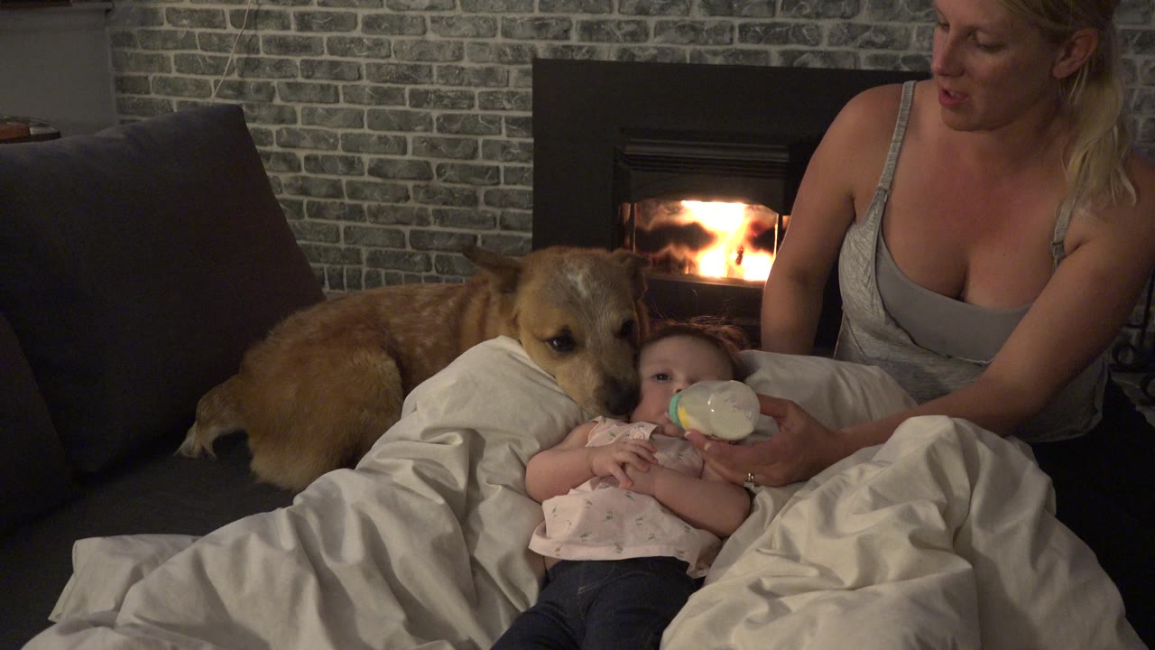 In Westminster, Colorado, the baby continues lying under white blankets with the bottle at the mouth, while the tan dog stays close beside the couch and firelight burns in the background.
