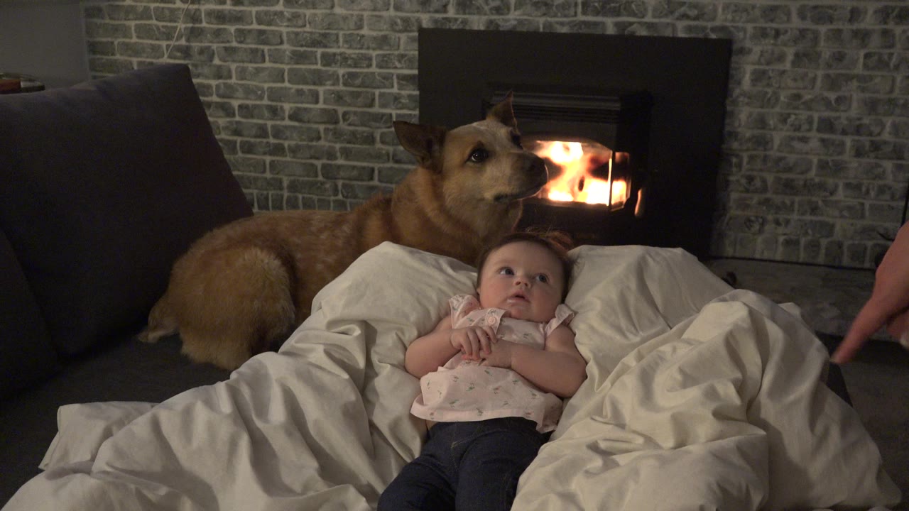 Infant on white bedding beside a brown dog and lit fireplace.