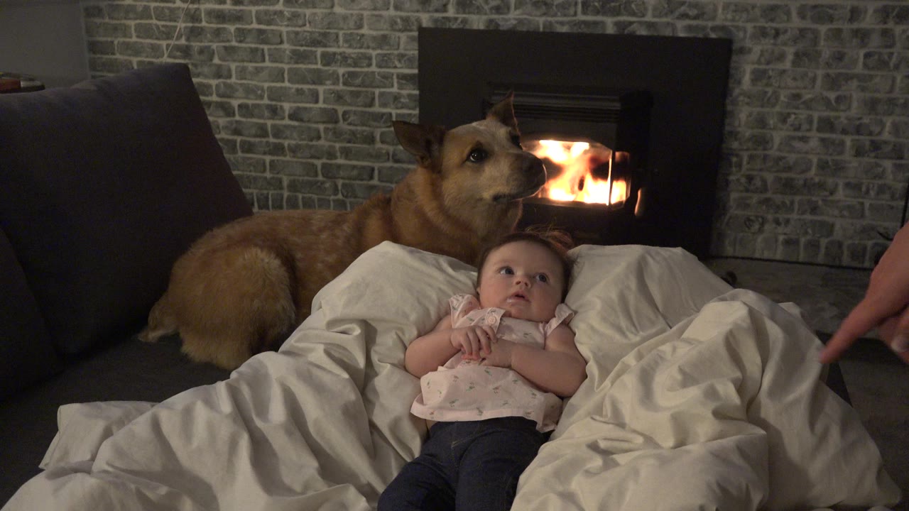 At 0:01 in Westminster, Colorado, the infant looks upward from the bedding while the brown dog stays behind the baby beside the glowing fireplace.