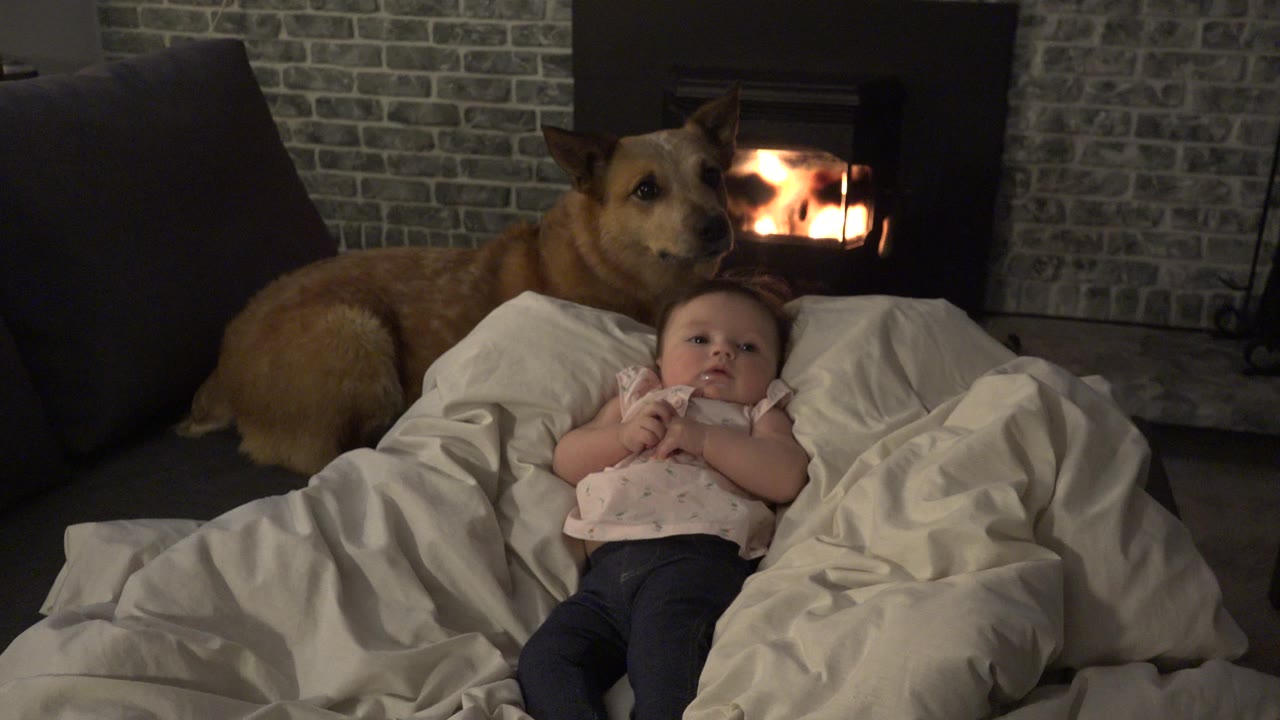 Brown dog sitting behind a baby on white bedding near a lit fireplace.