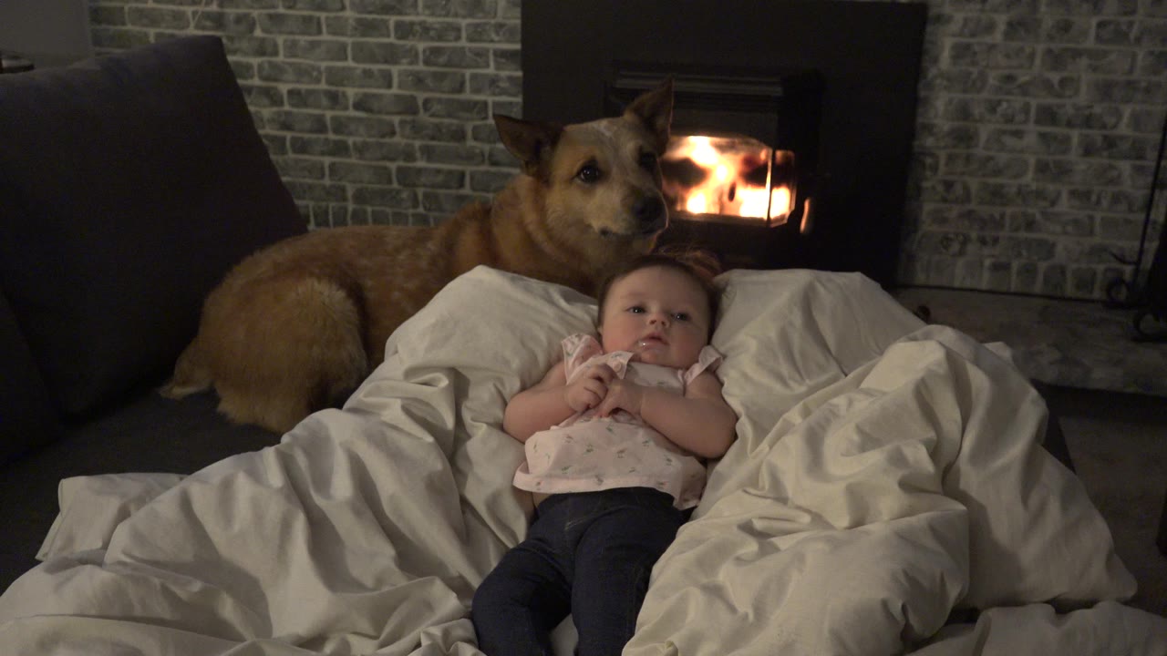 The baby remains centered on white bedding while the brown dog sits just behind the head area, framed by dark cushions and a lit brick fireplace in Westminster, Colorado.