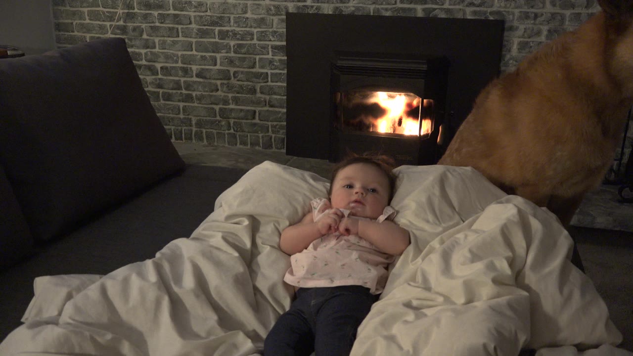 At 0:01 in Westminster, Colorado, the baby rests with hands near the chest as the large tan dog faces away near the right side of the bed and the fire glows behind them.