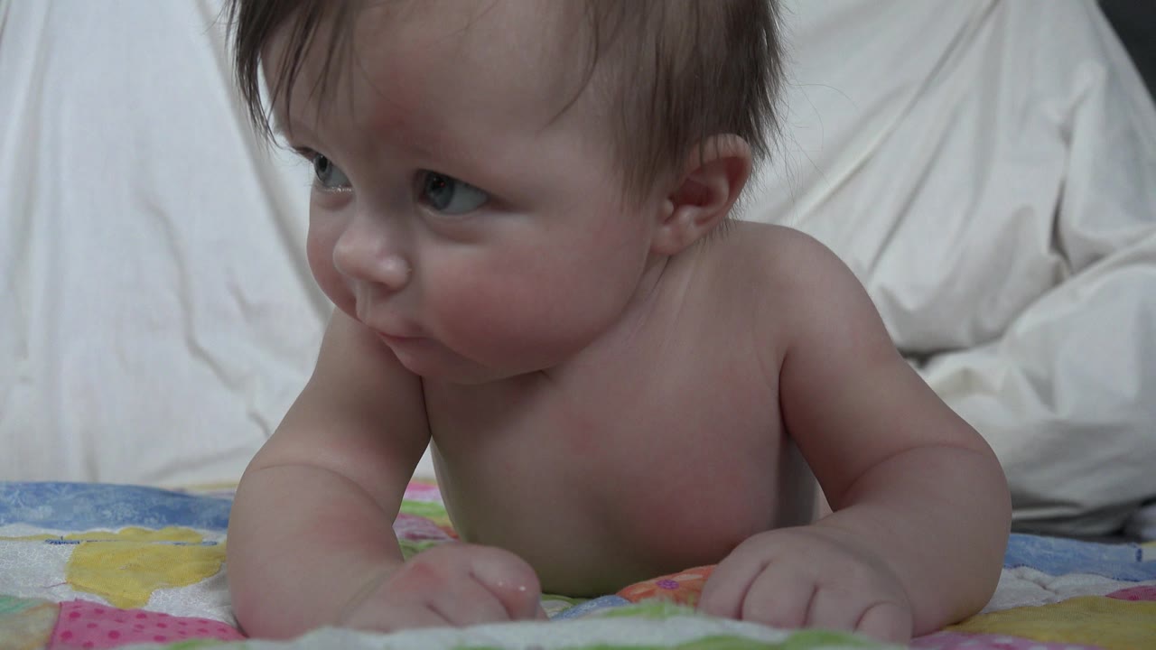 The baby remains on her stomach in Westminster, Colorado, with her head angled left, cheeks visible, and both hands resting near the front edge of the blanket.