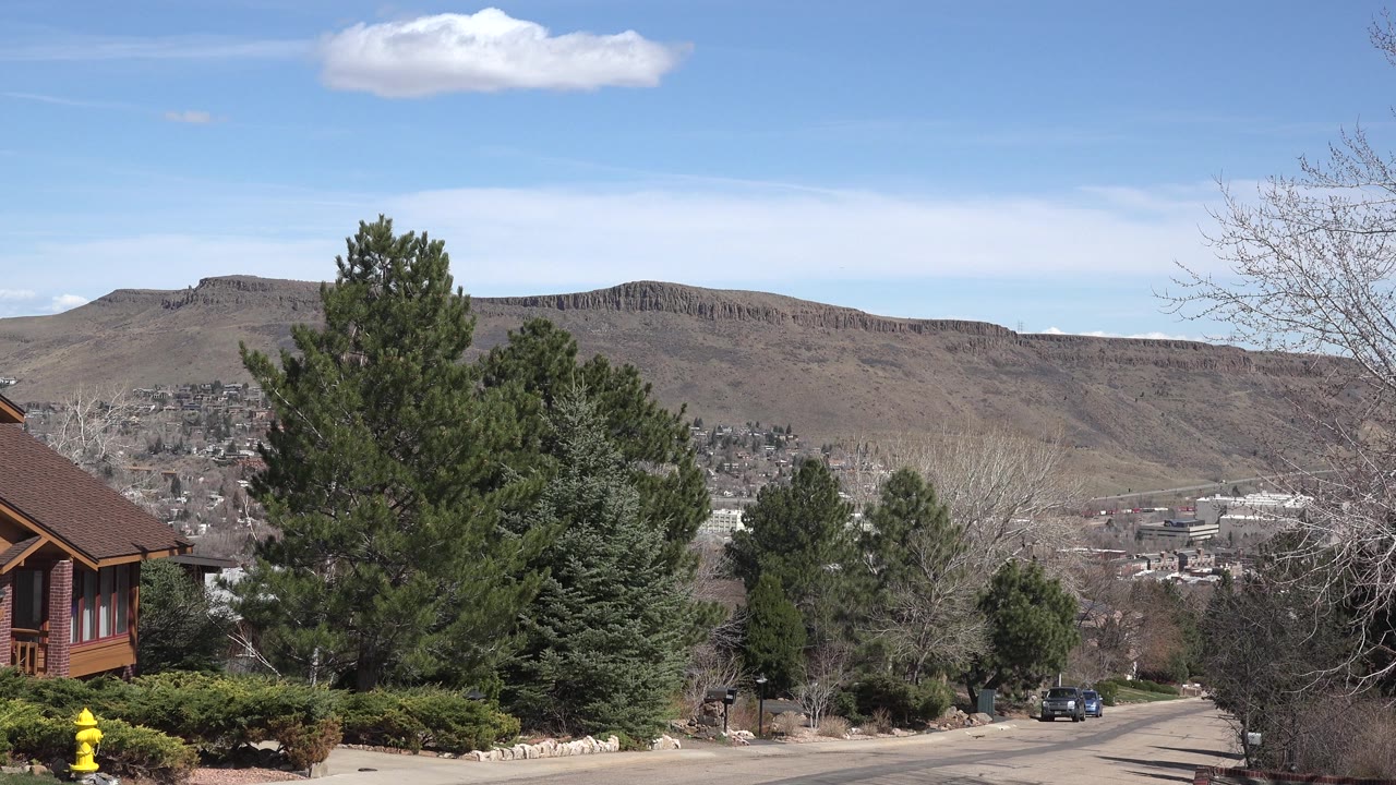 Evergreen trees beside a road with hills and buildings beyond