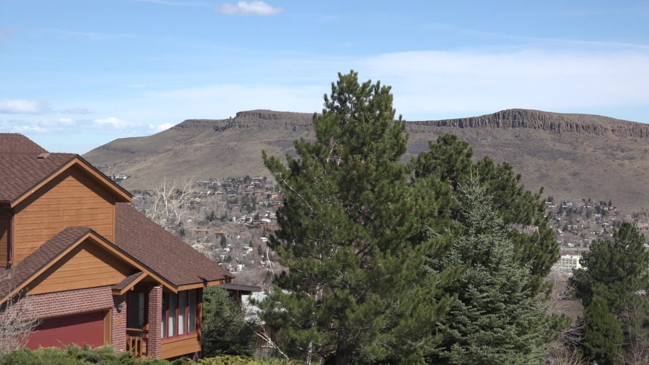 Westminster, Colorado suburban landscape with the brown house closer to center-left, evergreen foliage filling the foreground, distant homes below the ridge, and no visible people.