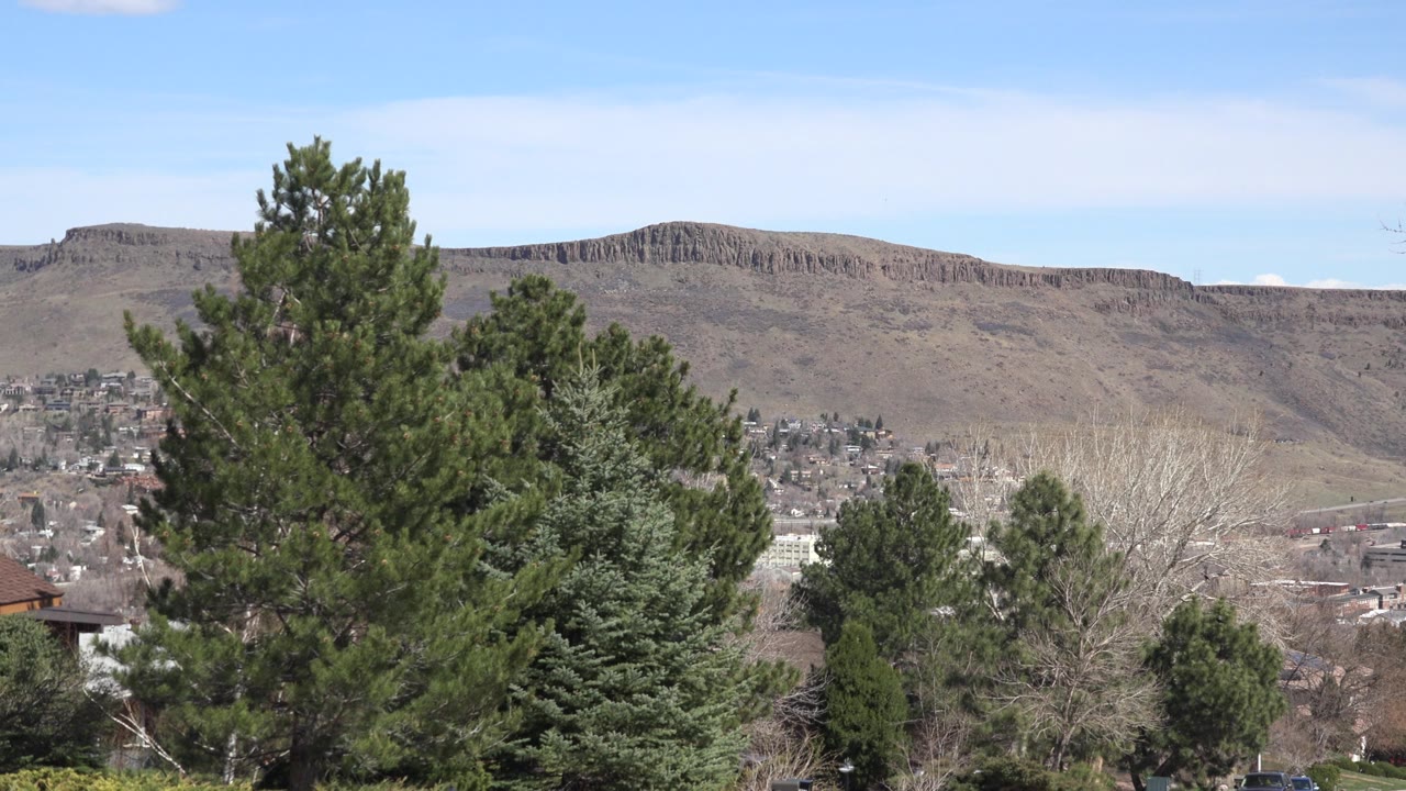 Opening frame of Westminster, Colorado with tall evergreen trees in the foreground, distant buildings below a brown ridge, pale blue sky, and no visible people.