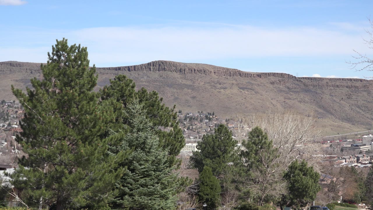 Evergreen trees with distant buildings and rocky ridge