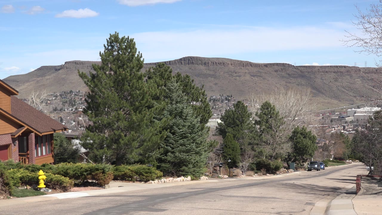 Second frame holds on the Westminster, Colorado street as the road curves downhill past shrubs, tall evergreens, bare branches, distant buildings, and no visible people.
