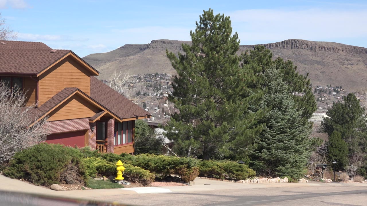 Wood-sided house, trees, hydrant, and dry hillside beyond a street.