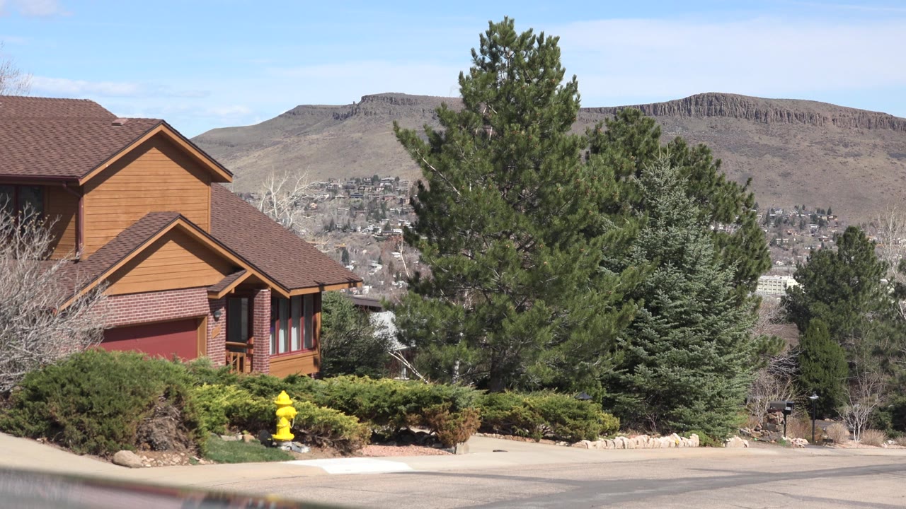 Brown building, evergreen trees, shrubs, yellow fire hydrant, road, and hills.