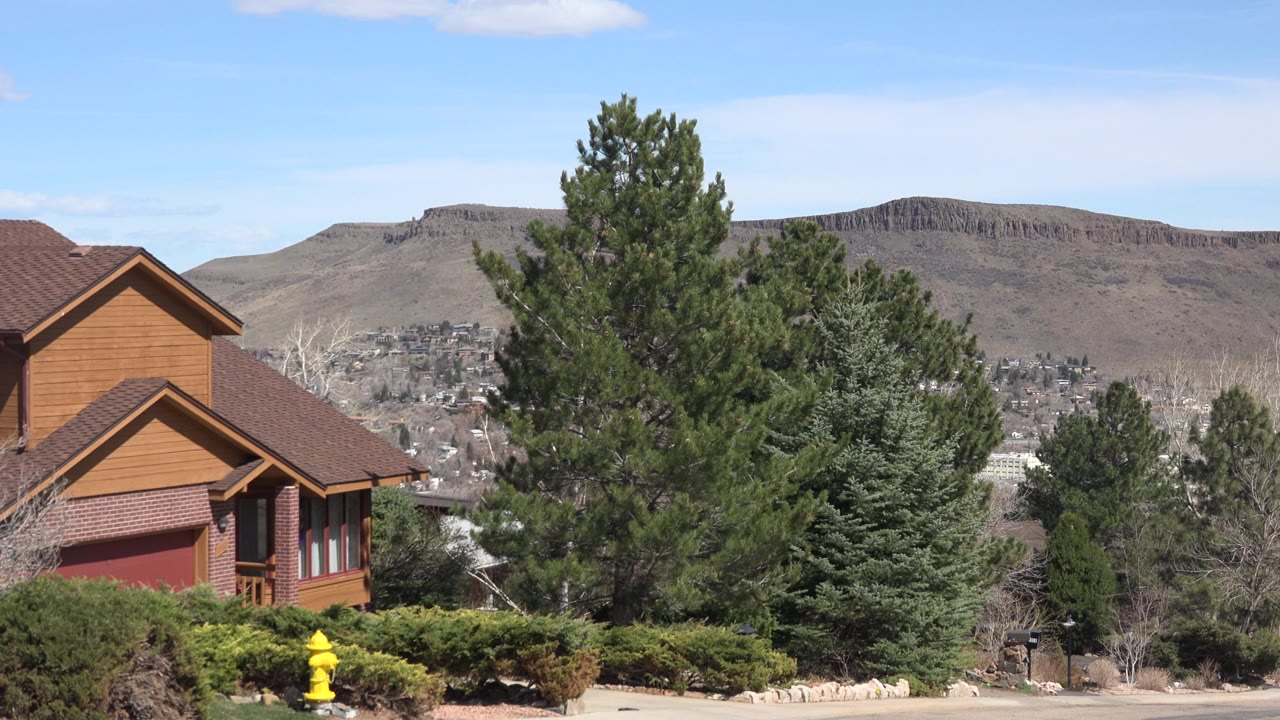 Opening frame of a Westminster, Colorado residential exterior with a wood-sided house at left, evergreen trees in the center, dry hills beyond, and no visible people.
