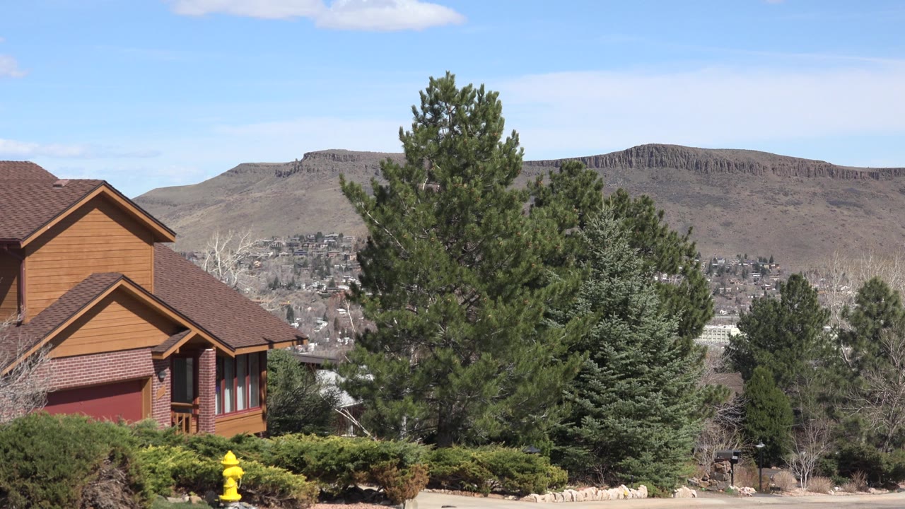 Suburban house, shrubs, yellow fire hydrant, evergreens, and distant hills under blue sky.